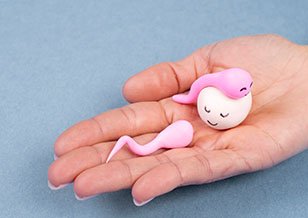 28 Case studies-Egg donation
