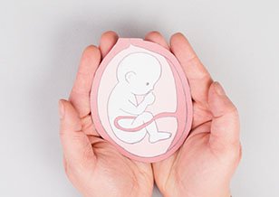 28 Case studies-Embryo adoption